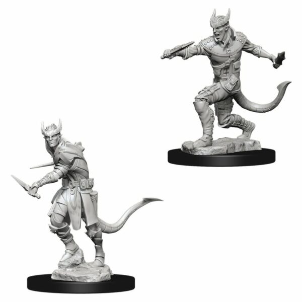 DnD: Rogue - Tiefling (Hellborn) Male (2)