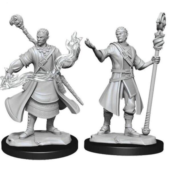 DnD: Half-Elf Wizards with Staves - Male