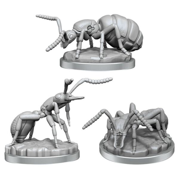 Deep Cuts: Giant Ants