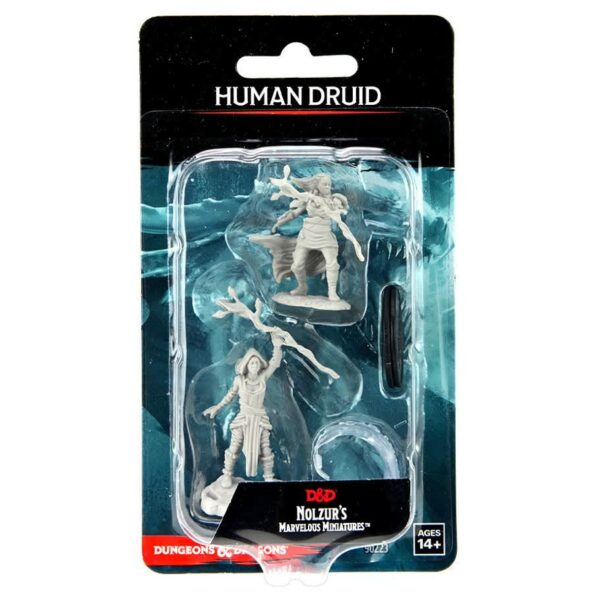 DnD: Human Druids with Staffs - Female