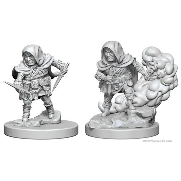 DnD: Rogues - Halfling Male