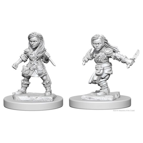 DnD: Rogue - Halfling Female (2)