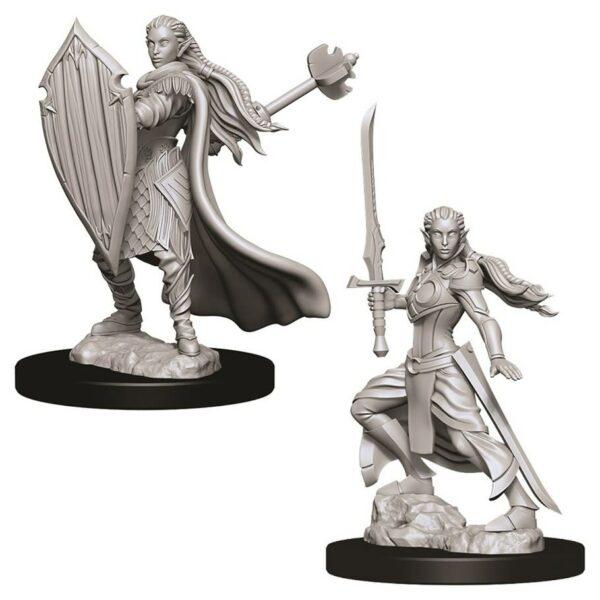 DnD: Elf Female Paladins