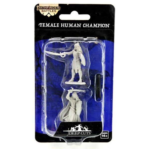 Pathfinder: Human Champions (Fighter / Paladin) - Female