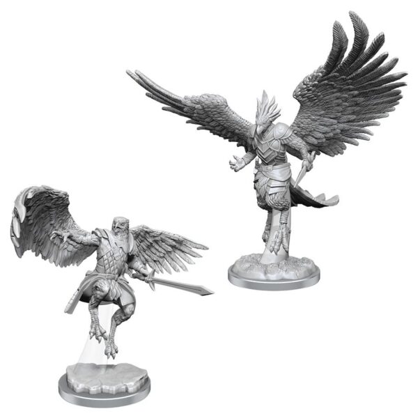 DnD: Aarakocra Paladins