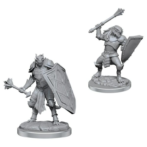 DnD: Cleric - Dragonborn Male (2)