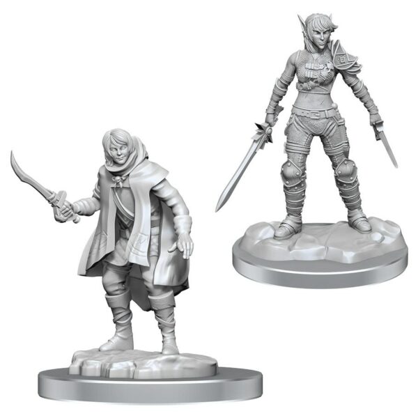 DnD: Rogue - Elf and Half-Elf