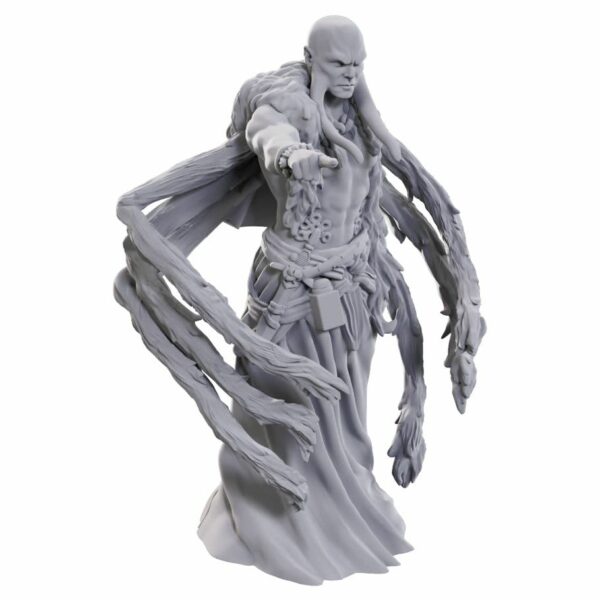 DnD: Kraken Priest